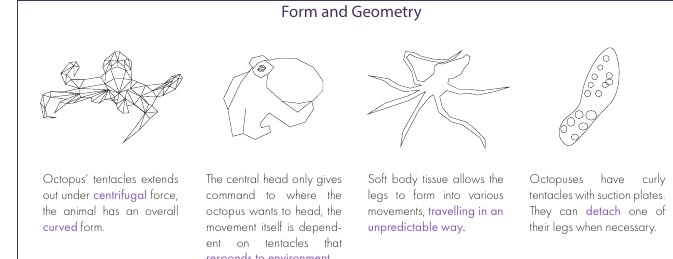 Form and geometry studies of the octopus.