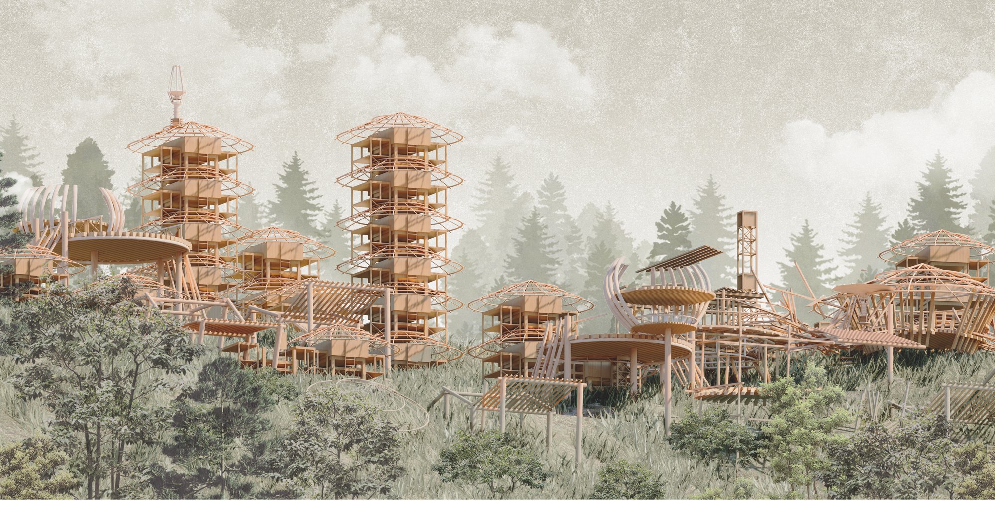 Timber towers in the forest at Totem Ravine.