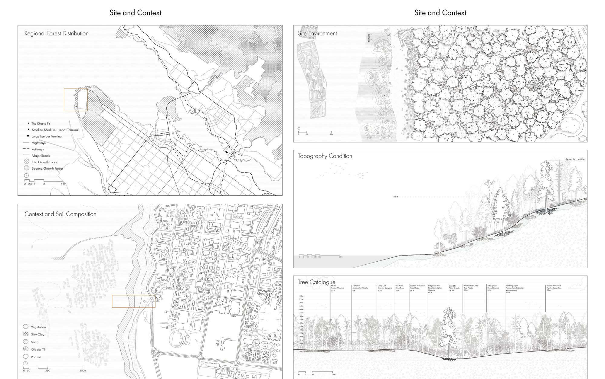 Site and context analysis of forest, soil, and topography.