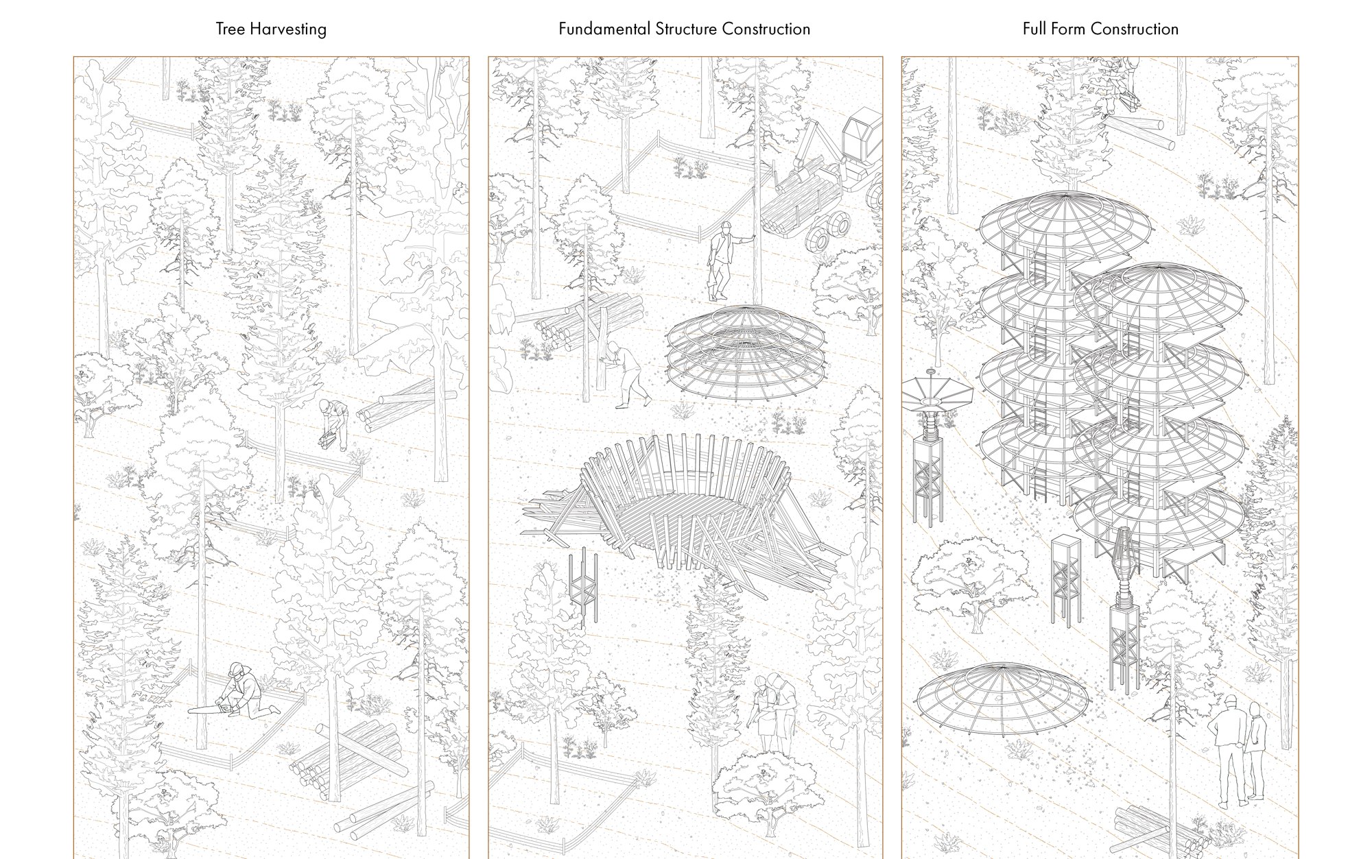Tree harvesting and construction sequence.